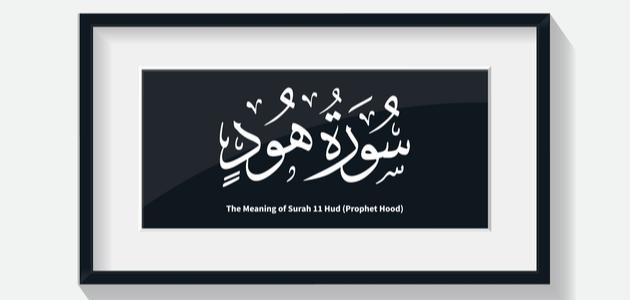 مقاصد سورة هود