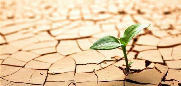 مقالة عن الإنسان الناجح مقالة عن الإنسان الناجح