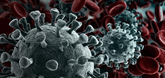 مقدمة إذاعة مدرسية عن كورونا مقدمة إذاعة مدرسية عن كورونا