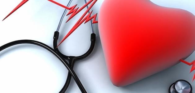 مكونات القلب مكونات القلب