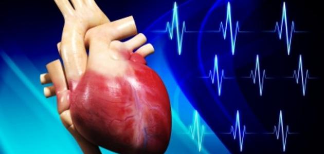 مكونات القلب في جسم الإنسان مكونات القلب في جسم الإنسان
