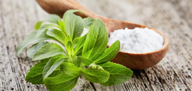 مكونات سكر ستيفيا مكونات سكر ستيفيا