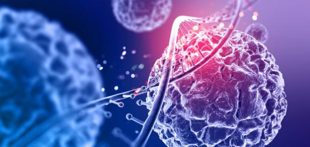 مكونات نواة الخلية مكونات نواة الخلية