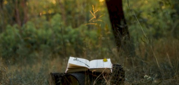 مناسبة سينية البحتري مناسبة سينية البحتري