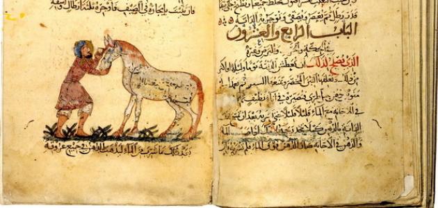 منهجية تحليل نص نظري منهجية تحليل نص نظري