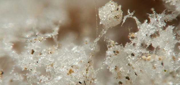 من أين تستخرج نترات البوتاسيوم