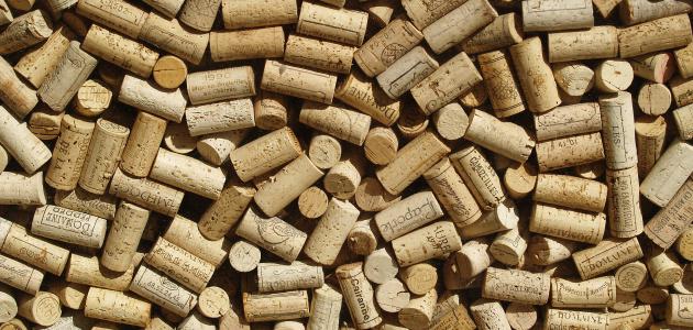 من أين يستخرج الفلين من أين يستخرج الفلين