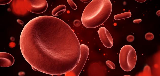 من اكتشف الدورة الدموية الصغرى