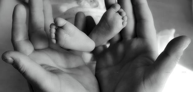 موضوع قصير عن بر الوالدين موضوع قصير عن بر الوالدين