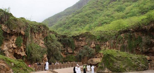 نبذة عن عمان