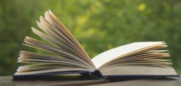 نبذة عن كتاب عن شيء اسمه الحب نبذة عن كتاب عن شيء اسمه الحب