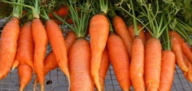 هل الجزر يساعد على التخسيس هل الجزر يساعد على التخسيس