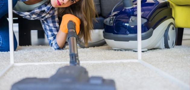 هل يموت البق بالغسيل