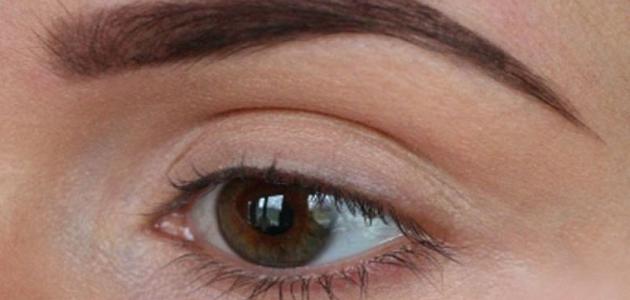 وصفات وطرق تشقير الحواجب وصفات وطرق تشقير الحواجب