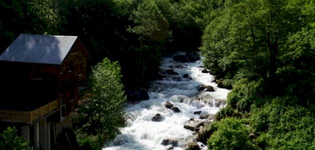 وصف الطبيعة عند ابن الرومي