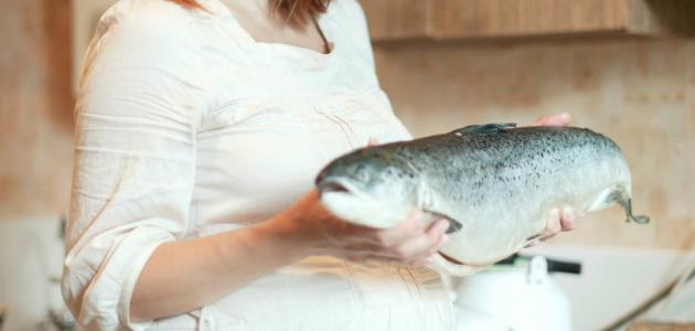 صورة فوائد السمك للحامل والجنين