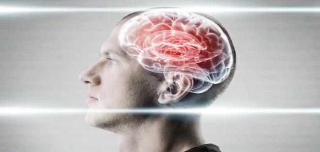 صورة الفرق بين المخ والعقل