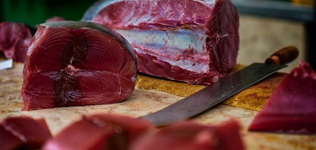 صورة جديد كيفية طبخ سمك التونة الطازج