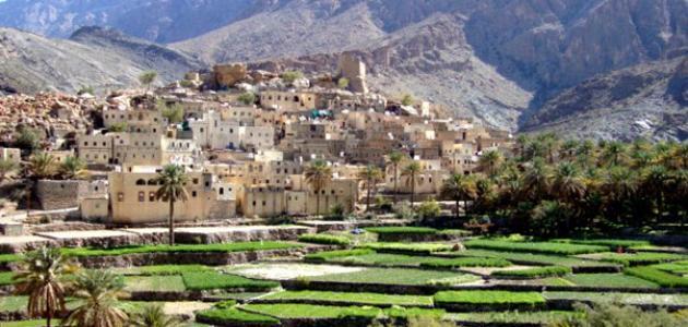 صورة جديد معلومات عامة عن تاريخ سلطنة عمان