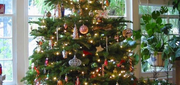صورة جديد طريقة تزيين شجرة عيد الميلاد