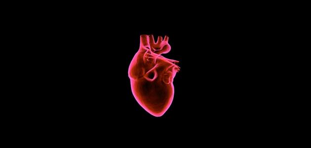صورة جديد ما هي أسباب تضخم القلب