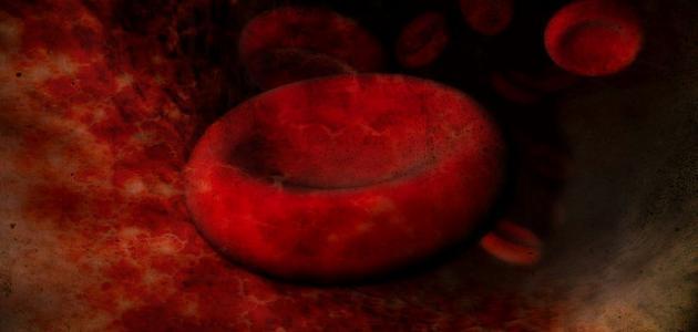 صورة جديد أين تتكون خلايا الدم