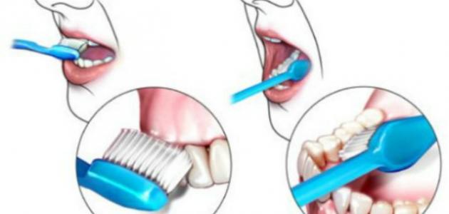 صورة جديد أهمية تنظيف الأسنان