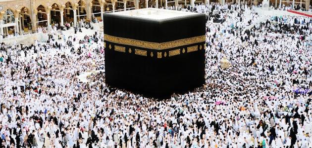 صورة جديد كم عدد المسلمين في العالم