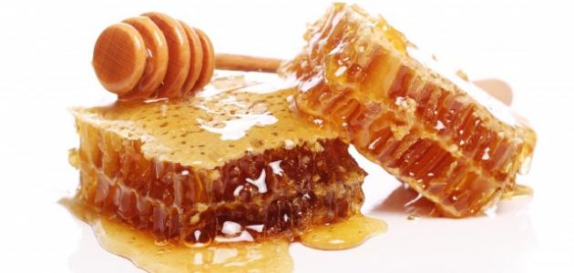 صورة جديد فوائد أكل شمع العسل