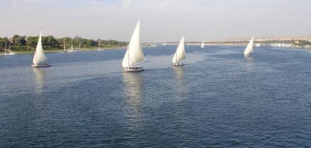 60307e02e0be4 جديد معلومات عن نهر النيل