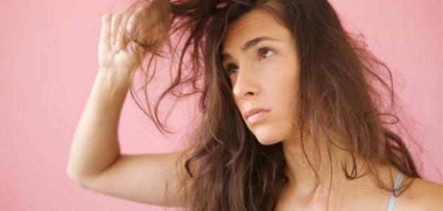 صورة جديد كيفية علاج تلف الشعر