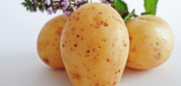 صورة جديد فوائد البطاطا للبشرة