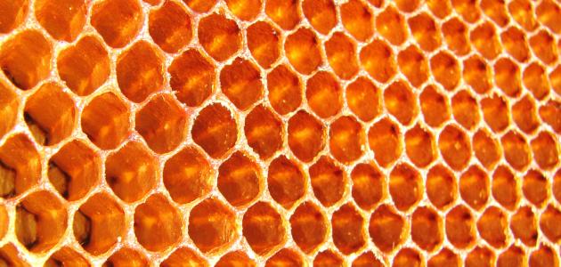 صورة جديد فوائد شمع العسل للشعر