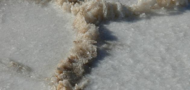صورة جديد فوائد ملح البحر الميت