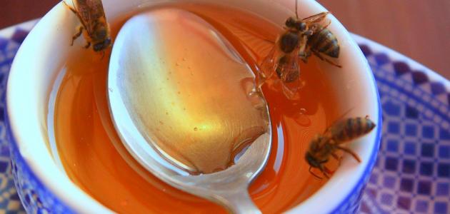 صورة جديد كيف أستخدم العسل