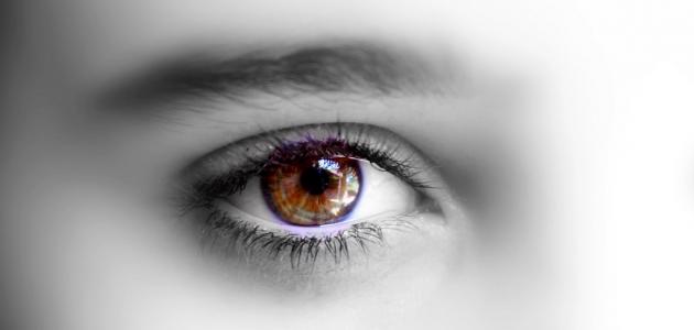 صورة جديد حساسية العين للضوء