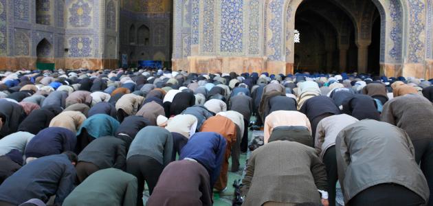 صورة جديد فقه الإمامة في الصلاة