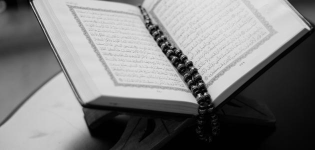 صورة جديد أنواع تفسير القرآن