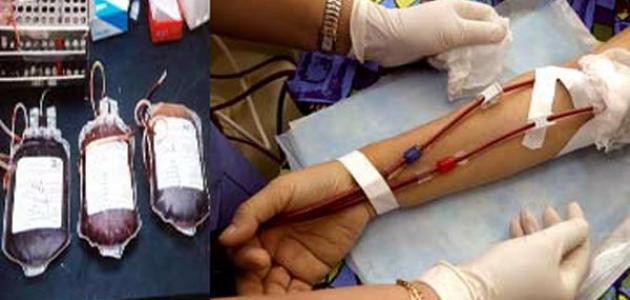 صورة جديد كيف تتم عملية نقل الدم