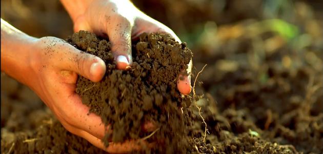 صورة جديد كيفية تحسين مردودية التربة