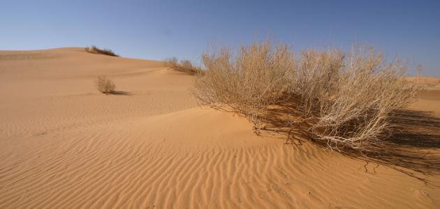 صورة جديد أكبر صحراء رملية في العالم