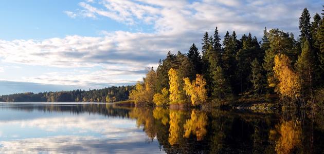 صورة جديد كم عدد البحيرات في السويد