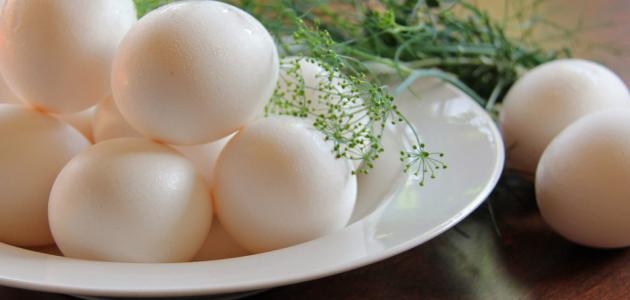 603672c034b9c جديد طريقة عمل بيض مسلوق لذيذ