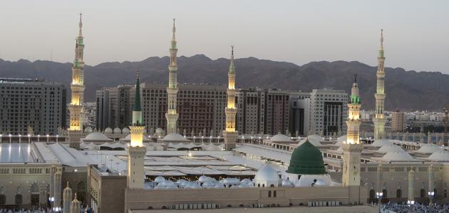 6036d8cc38116 جديد أجمل المساجد في العالم