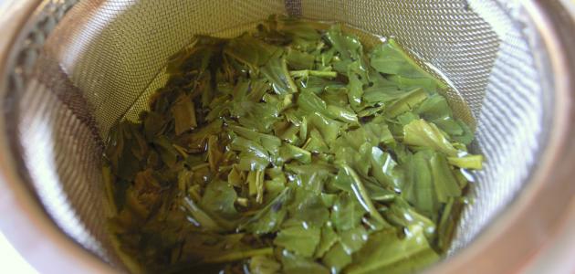 صورة جديد كيفية إعداد الشاي الأخضر