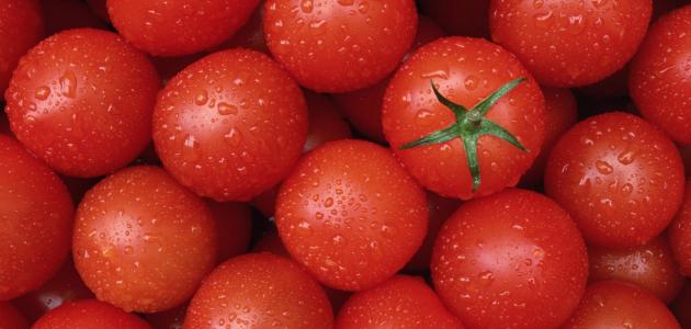 صورة جديد أنواع الطماطم