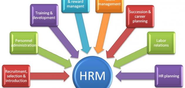 6038d3c367e34 جديد مفهوم إدارة الموارد البشرية