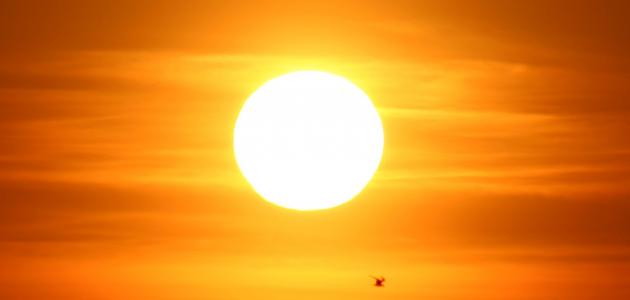 صورة جديد فوائد الشمس لجسم الإنسان