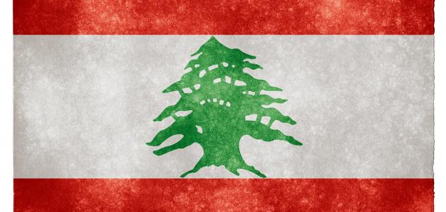 صورة جديد ما هو عيد الاستقلال في لبنان