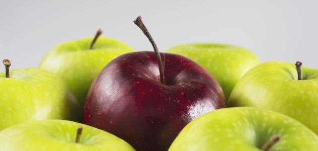 صورة جديد الفرق بين التفاح الأخضر والأحمر